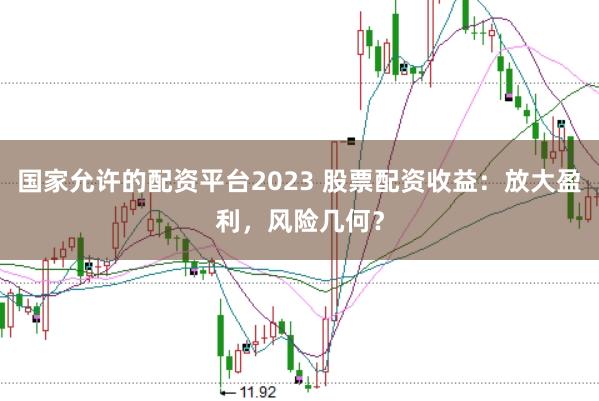国家允许的配资平台2023 股票配资收益：放大盈利，风险几何？