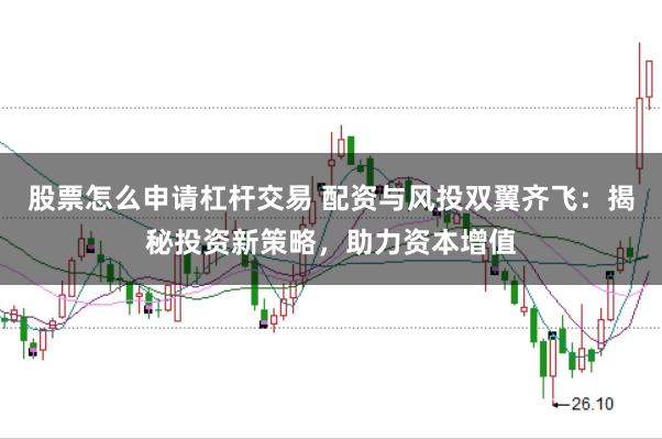 股票怎么申请杠杆交易 配资与风投双翼齐飞：揭秘投资新策略，助力资本增值