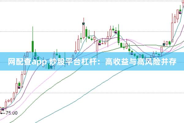 网配查app 炒股平台杠杆:高收益与高风险并存