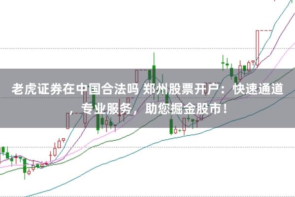 老虎证券在中国合法吗 郑州股票开户:快速通道,专业服务,助您掘金股市!