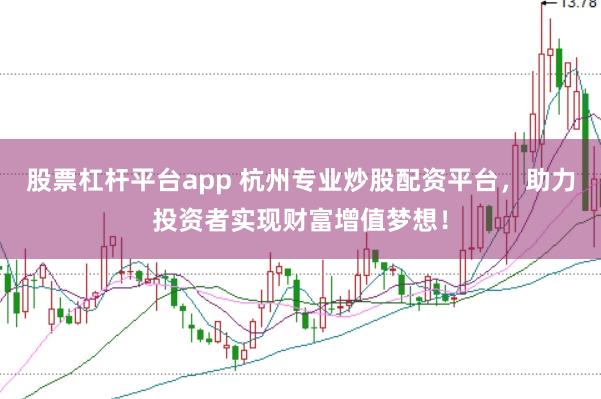 股票杠杆平台app 杭州专业炒股配资平台，助力投资者实现财富增值梦想！