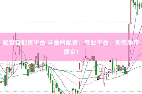 配查查配资平台 斗金网配资:专业平台,助您股市掘金!