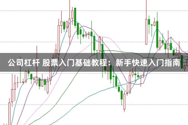 公司杠杆 股票入门基础教程：新手快速入门指南