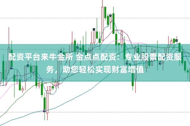 配资平台来牛金所 金点点配资：专业股票配资服务，助您轻松实现财富增值