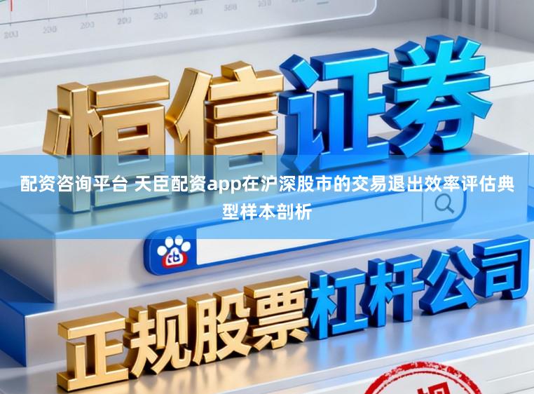 配资咨询平台 天臣配资app在沪深股市的交易退出效率评估典型样本剖析