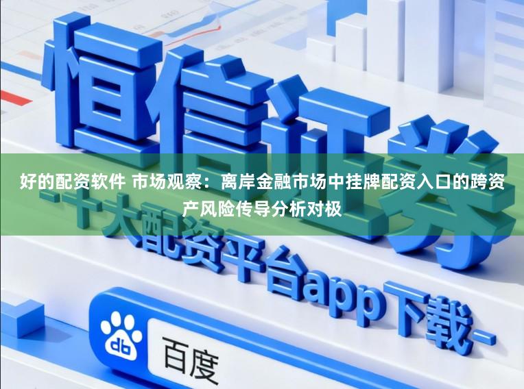 好的配资软件 市场观察：离岸金融市场中挂牌配资入口的跨资产风险传导分析对极
