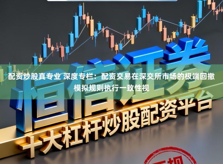配资炒股真专业 深度专栏：配资交易在深交所市场的极端回撤模拟规则执行一致性视