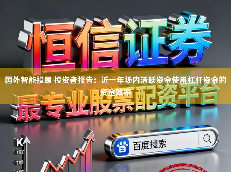 国外智能投顾 投资者报告：近一年场内活跃资金使用杠杆资金的资金效率