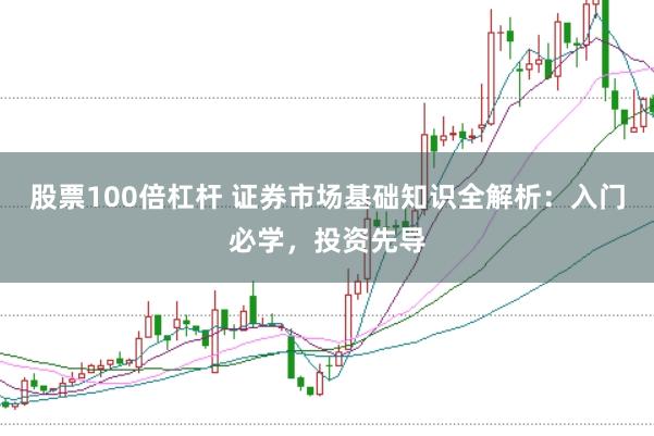 股票100倍杠杆 证券市场基础知识全解析：入门必学，投资先导