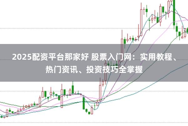 2025配资平台那家好 股票入门网：实用教程、热门资讯、投资技巧全掌握